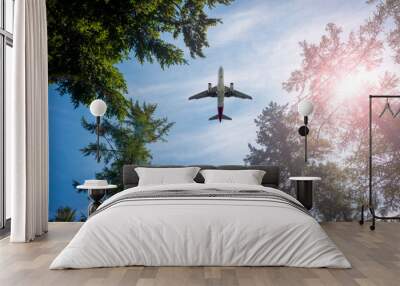 Airplane flying above the forest, directly below. Wall mural