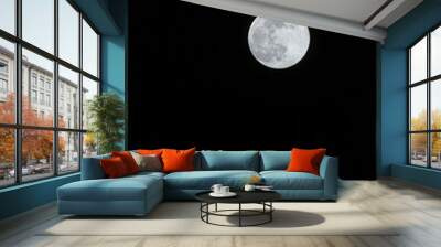 full moon in the night sky vertical Wall mural