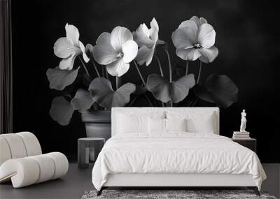 A monochromatic image of two potted flowers against a dark background. Wall mural