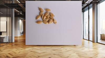 pumpkin seeds on color background Wall mural