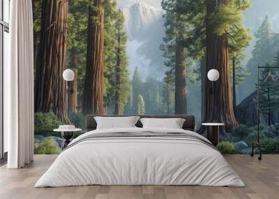 majestic towering redwoods in a mountain grove offer a serene and picturesque natural scene Wall mural