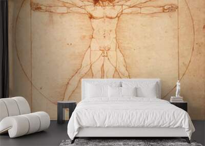 Leonardo DaVinci's Vitruvian Man, Uomo Vitruviano, illustrated Wall mural