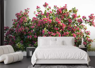 bush of flowers isolated on transparent background  Wall mural