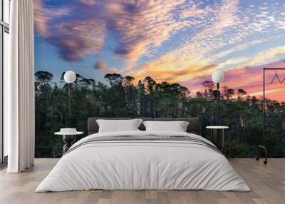 Cambria Sunset 2 Wall mural