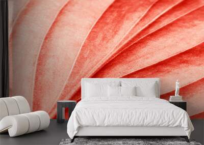 coral Wall mural