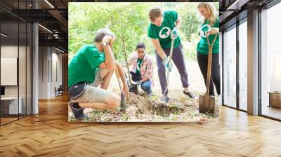 Environmentalist volunteers planting new tree Wall mural