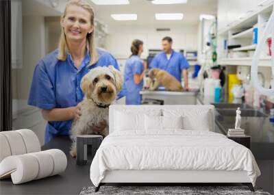 Veterinarian smiling with dog in vet's surgery Wall mural