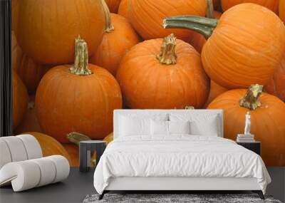 freshly picked pumpkins 2 Wall mural