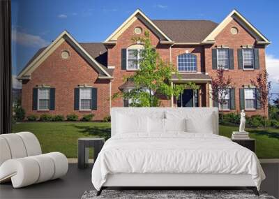 Large, upscale new home in the suburbs. Wall mural