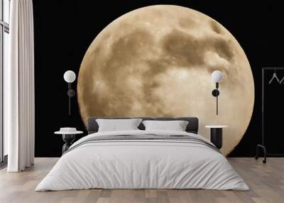 full moon in png isolated on transparent background Wall mural