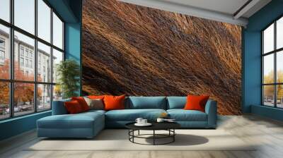 Fur of young wild boar Wall mural