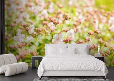 Geranium X Cantabrigiense flowers in Zurich in Switzerland Wall mural