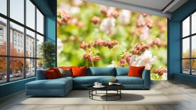 Geranium X Cantabrigiense flowers in Zurich in Switzerland Wall mural