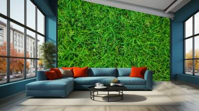 grass Wall mural