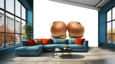 two onions on a white background Wall mural