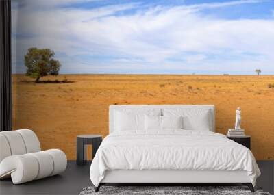 hay plain Wall mural