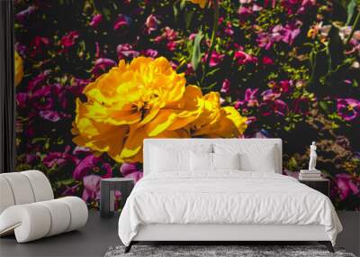 yellow blossom and pink flowers Wall mural