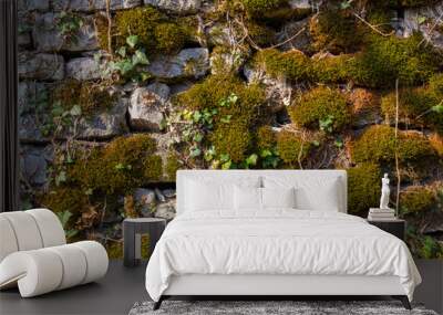 Old natural stone wall covered with green and brown moss and ivy for natural background Wall mural