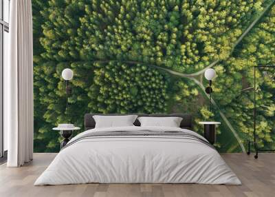 Aerial view of roads intersecting in forest Wall mural