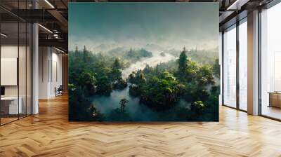 Aerial view of wild exotic forest as wallpaper background Wall mural