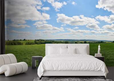 Green meadow as a panorama background with sky Wall mural