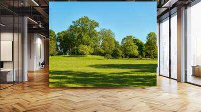 Green meadow in the park with trees and sky in summer Wall mural