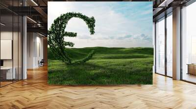 Hedge as a euro symbol on a meadow as a green investment Wall mural