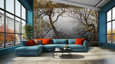 Lake viewed between two trees Wall mural