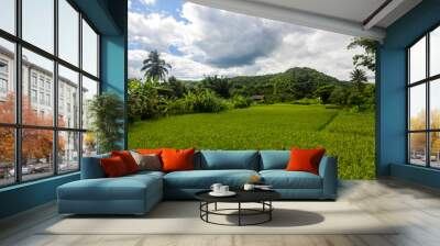 A rice field in Asia, with mountains and jungle in the background Wall mural