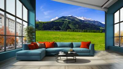 eine Panorama mit Bergen, Wald und Wiese in Österreich Wall mural