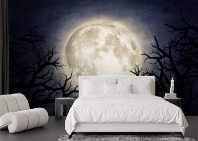 moon Wall mural