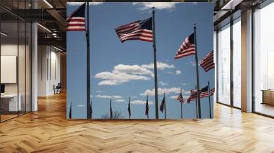 Ring of flags flying at the Washington Monument in Washington DC on a sunny day with blue sky. Wall mural