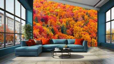 Full frame of beautiful variegated autumn foliage of mixed forest in late October during indian summer Wall mural