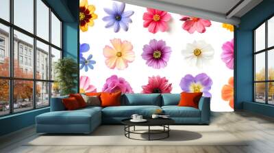 Set of different beautiful flowers isolated on transparent background  Wall mural