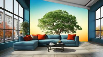 sunset Wall mural