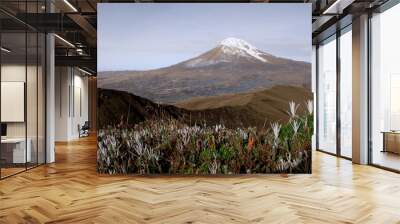 Volcán Chimborazo, elpunto más alto de la tierra a las estrellas, majestuoso. Ecuador Wall mural