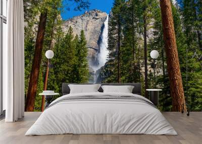 waterfall in yosemite Wall mural