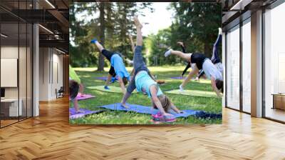 yoga in the children's park Wall mural