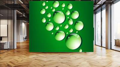 Foglia con gocce Wall mural