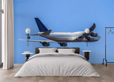 Passanger airplane taking off Wall mural