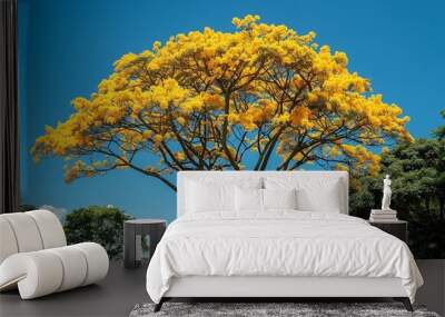 capture a captivating shot of a yellow ipê tree in full bloom, where radiant yellow blossoms stand o Wall mural