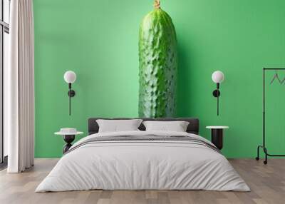 cucumber isolated on green background, square food photography Wall mural