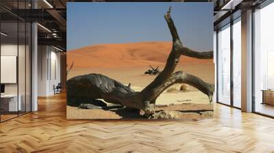 Namibia, Namib Desert, Dune 45 Wall mural