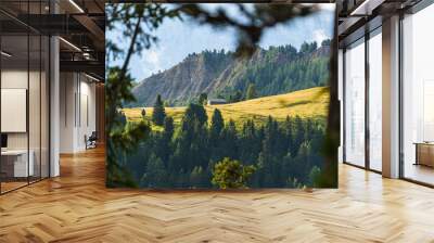 The pastures and meadows of the Trentino Dolomites, seen from Passo delle Erbe - August 2021 Wall mural