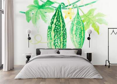 Bitter melon water color painting Wall mural