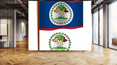 belize wavy flag Wall mural