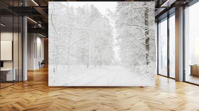 Beautiful winter landscape with snowy road in the winter forest. Wall mural