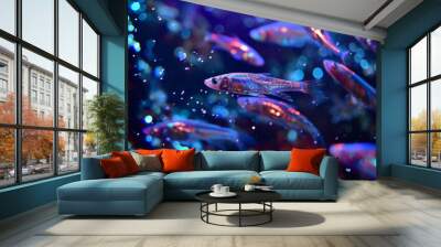 Colorful neon tetra fish swimming in a dark aquarium with illuminated blue water and bubbles. Wall mural