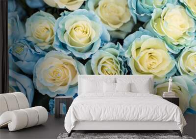 the roses are blue and white. flowers beauty background red Floral design Wall mural