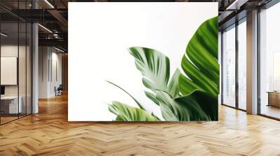 tropical large green leaves on a white background. mockup generative ai. Wall mural